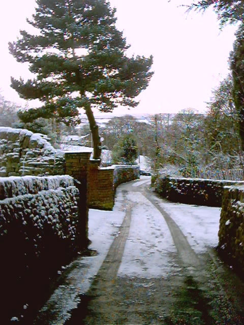 Dark Lane behind Manorlands