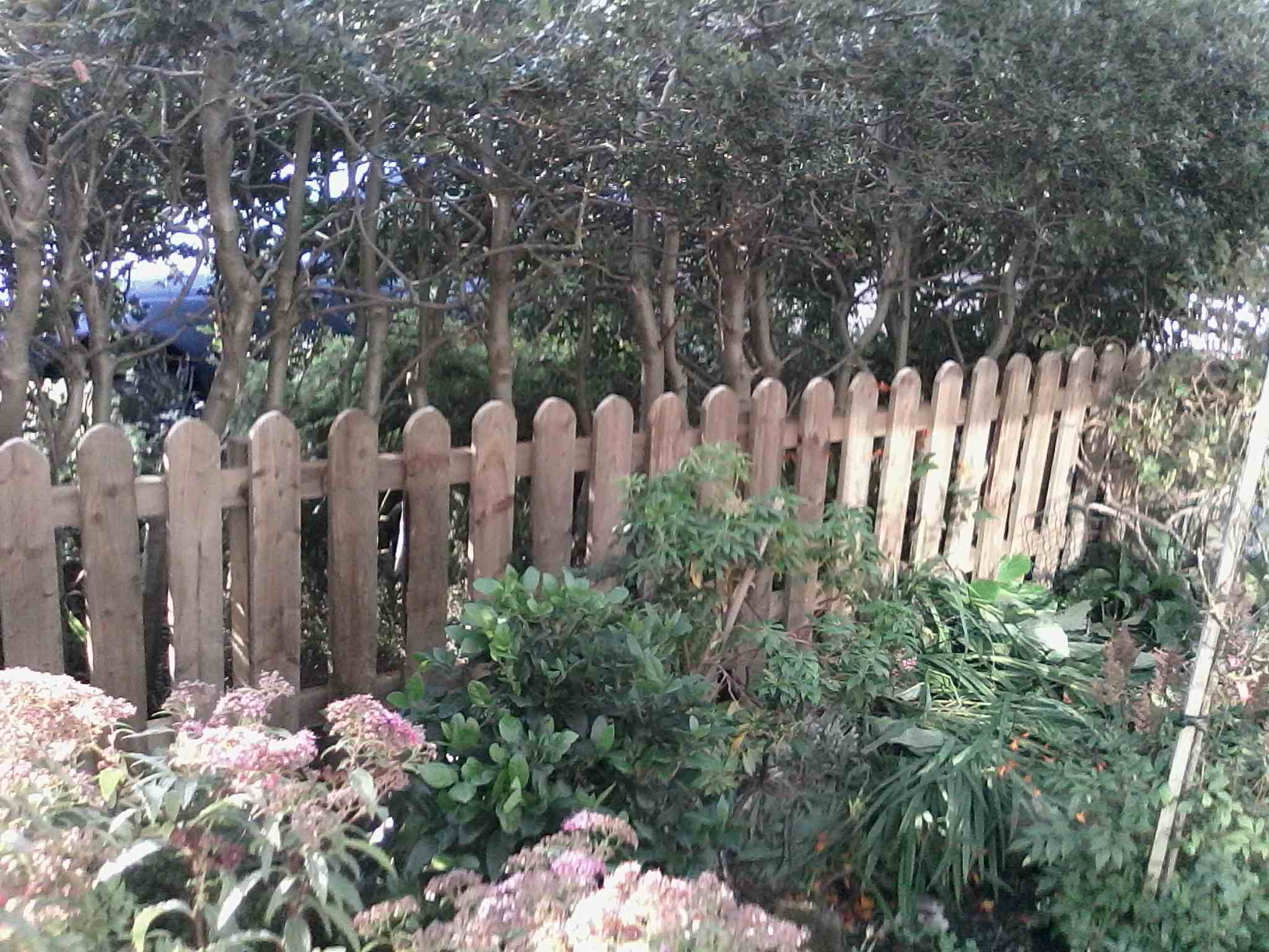Garden Fencing 36 inch high