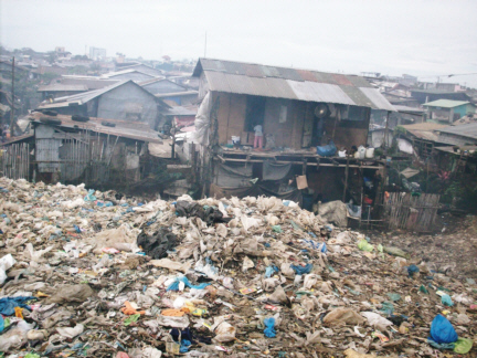 An elite house near the dump