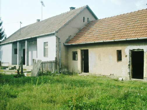 These are 2 of the outbuildings that will serve as a nursery for the babies and toddlers