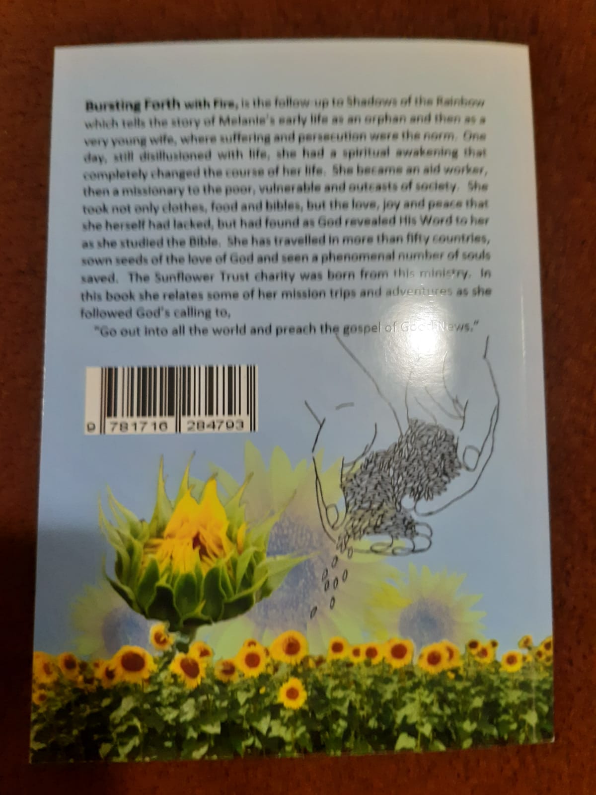 Back of book 2